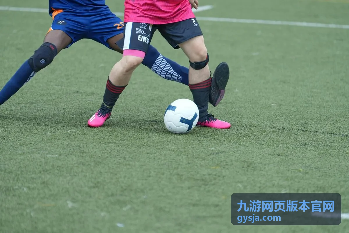 翼灵王国 九游网页版 新游进入