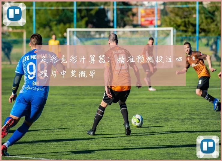 足彩竞彩计算器:精准预测投注回报与中奖概率