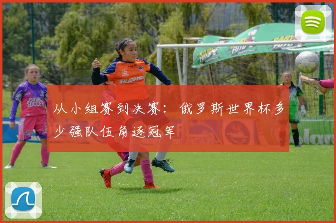 从小组赛到决赛：俄罗斯世界杯多少强队伍角逐冠军