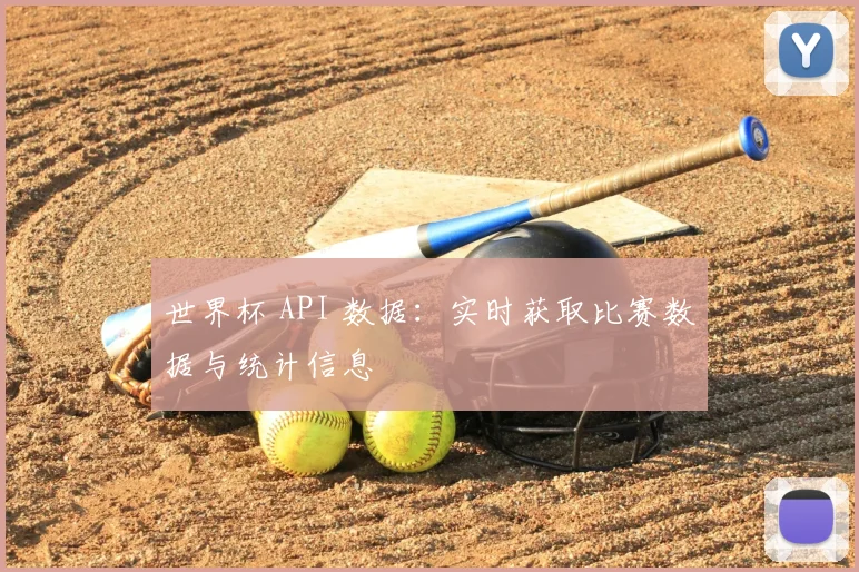 世界杯 API 数据:实时获取比赛数据与统计信息