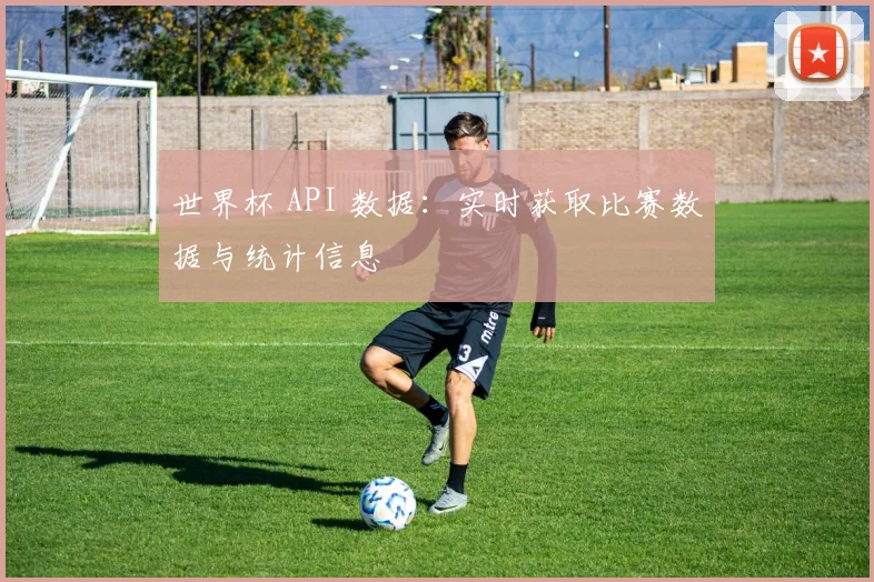 世界杯 API 数据:实时获取比赛数据与统计信息