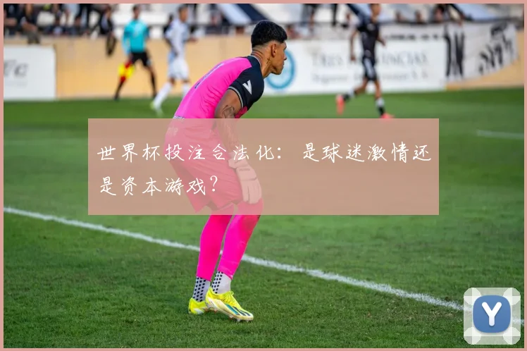 世界杯投注合法化:是球迷激情还是资本游戏?