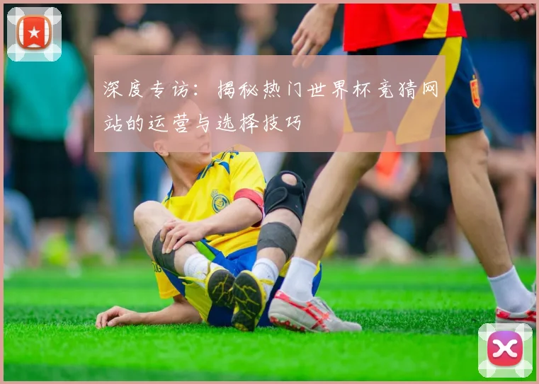 深度专访:揭秘热门世界杯竞猜网站的运营与选择技巧