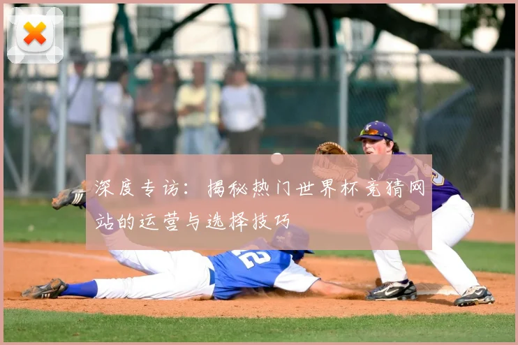 深度专访：揭秘热门世界杯竞猜网站的运营与选择技巧