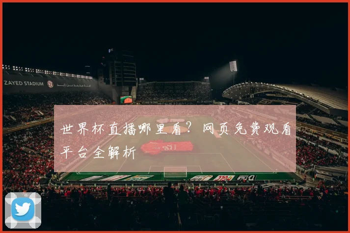 世界杯直播哪里看？网页免费观看平台全解析