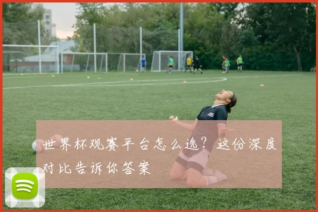 世界杯观赛平台怎么选?这份深度对比告诉你答案
